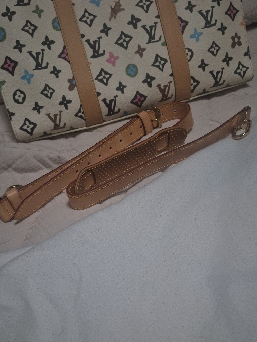 Louis Vuitton X Tyler the Creator 2024 Craggy Vanilla Sac Plat - Picture 14 of 16